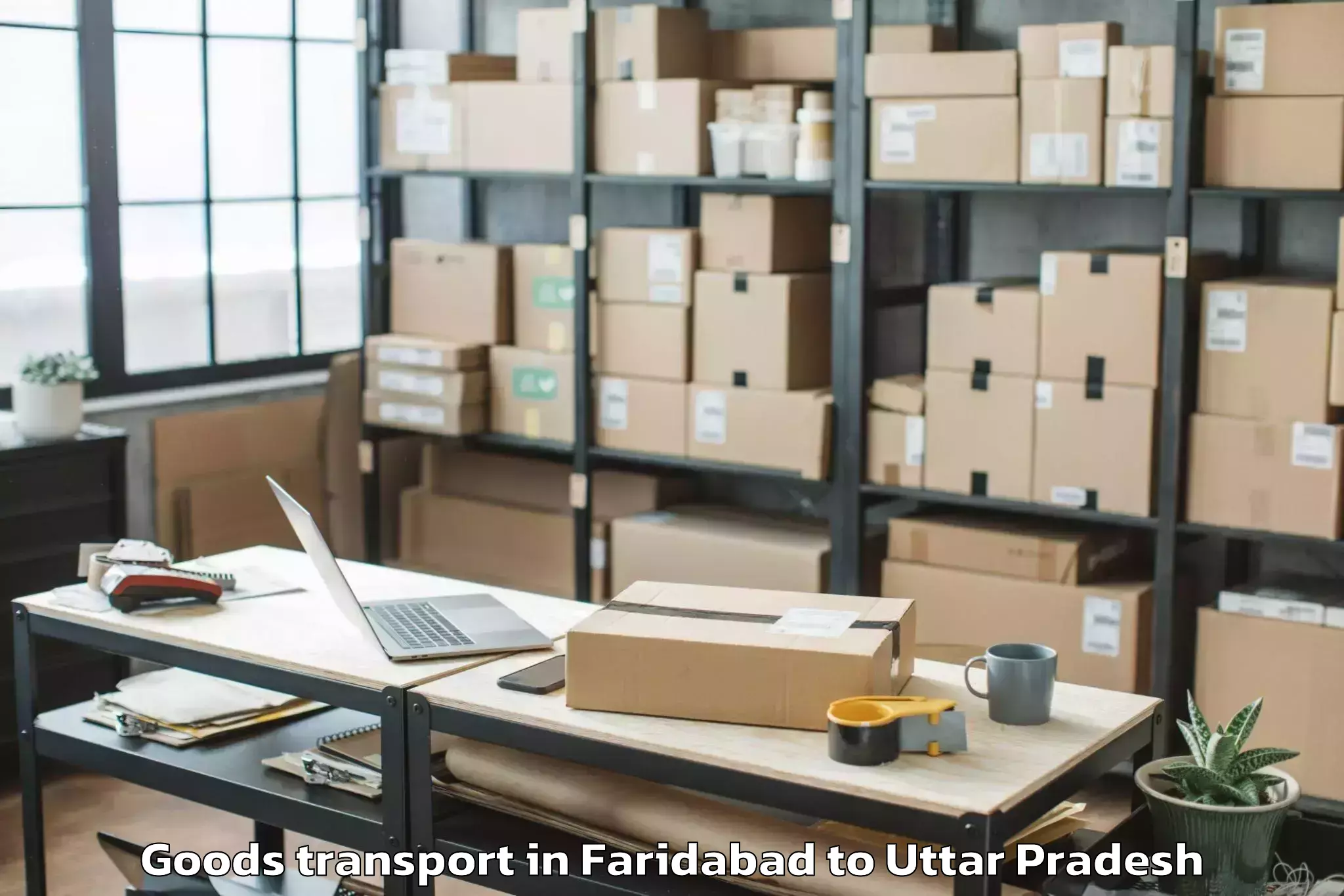 Easy Faridabad to Hussainganj Goods Transport Booking